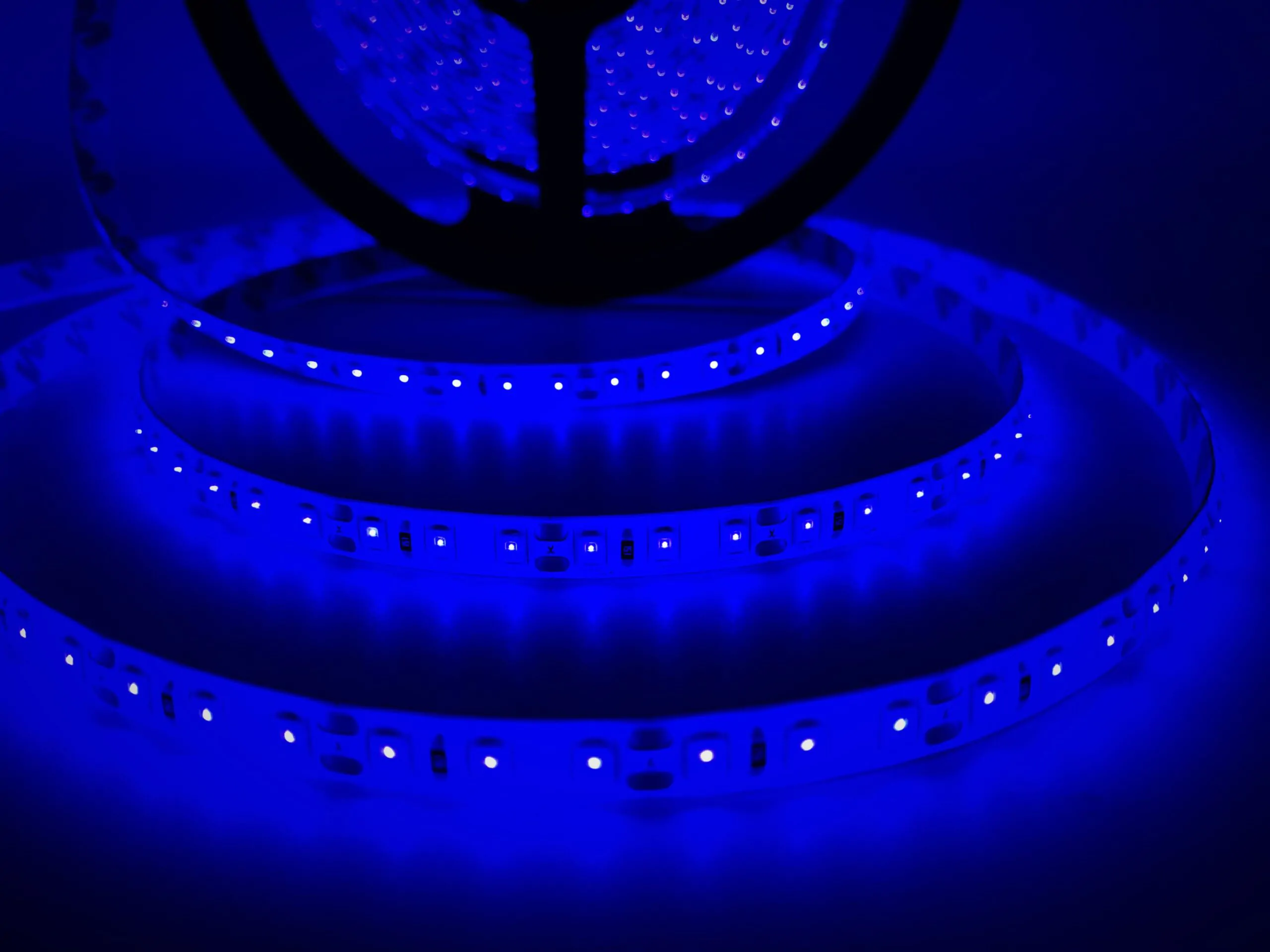 Biom SMD2835 120LED/м 9,6W/m 12V IP65 синій (blue) світлодіодна стрічка, led стрічка 12v, лед стрічка 12в, світлодіодна стрічка 12 вольт, світлодіодна стрічка синя, купити світлодіодну стрічку, led стрічка biom, led стрічка ip65, led стрічка для підсвітки, 120 led/м, купити led стрічку