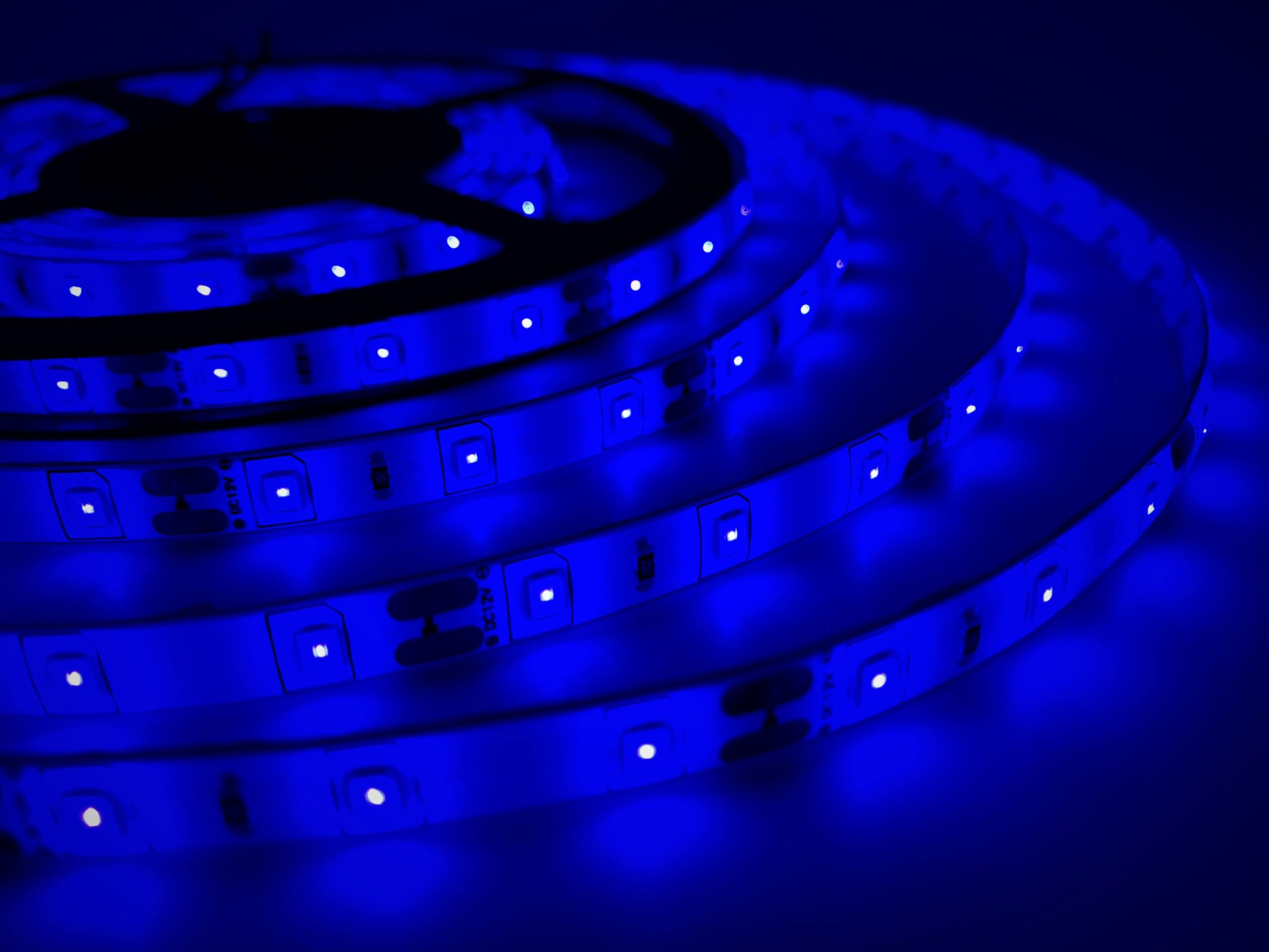 Biom SMD2835 60 LED 4,8W/m 12V IP65 синій (blue) світлодіодна стрічка, led стрічка 12v, лед стрічка 12в, світлодіодна стрічка 12 вольт, led стрічка синя, led стрічка для підсвітки, led стрічка biom, led стрічка ip65, купити світлодіодну стрічку, купити led стрічку, 60 led/м