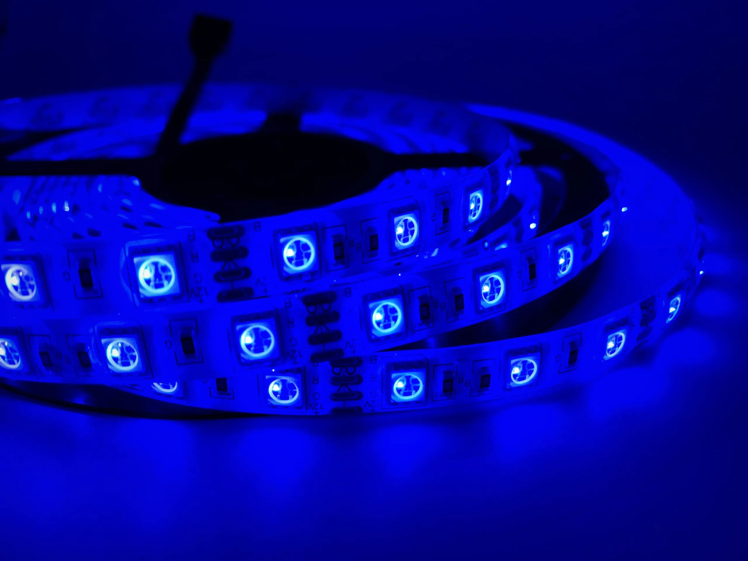 Biom SMD5050 60 LED 14,4W/m 12V IP65 теплий білий (2700–3500K) світлодіодна стрічка, led стрічка 12v, лед стрічка 12в, світлодіодна стрічка 12 вольт, світлодіодна стрічка теплий білий, led стрічка для підсвітки, led стрічка biom, купити світлодіодну стрічку, купити led стрічку, led стрічка smd5050, світлодіодна стрічка smd5050, світлодіодна стрічка ip65, водозахищена led стрічка, led стрічка для ванної, led стрічка для кухні, 60 led/м, тепле біле світло