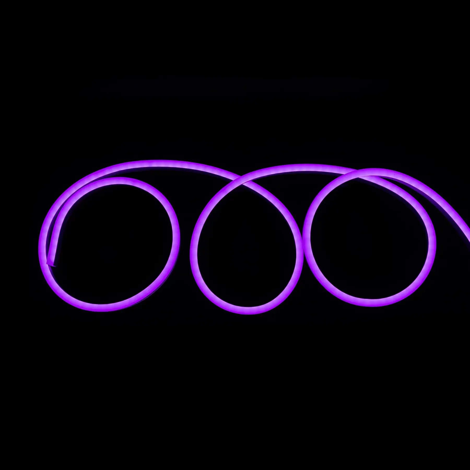 Світлодіодний неон PROLUM LF 8x16mm 12W 12V IP67 фіолетовий (purple) світлодіодний неон, PROLUM LF, 8x16mm, 12W, 12V, IP67, фіолетовий, purple, контурна підсвітка, гнучкий неон, декоративне освітлення, купити, доставка по Україні